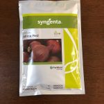 Africa Red F1 Onion Seeds Kenya | High-Yield Short Day Red Onion - Kilimokona