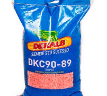 DKC90-89 Hybrid Maize 2Kg | High-Yield Medium Maturity Seed