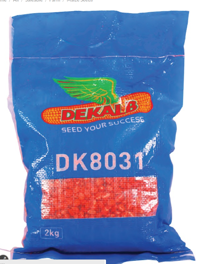 DK8031 Hybrid Maize - 2Kg