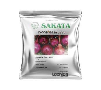 Granate F1 Red Onion Seeds – High-Yield Hybrid Globe Onion for Kenya | Premium Quality