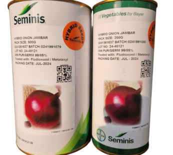 Buy Jambar F1 Hybrid Onion Seeds – Early Maturing Red Onion | 90 Days | 6 Month Shelf Life