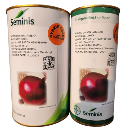 Jambar F1 Hybrid Onion Seeds