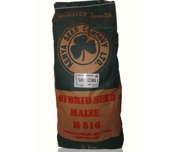 Maize – Dry Land Varieties in Kenya | Drought-Tolerant Hybrid Maize Seeds