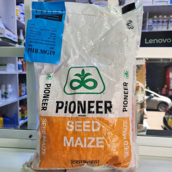Pioneer PHB 30G19 - 2Kg