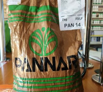 Yellow Maize PAN 14 | High-Yield Hybrid Maize Seed Kenya