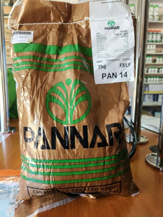 Yellow Maize PAN 14 | High-Yield Hybrid Maize Seed Kenya