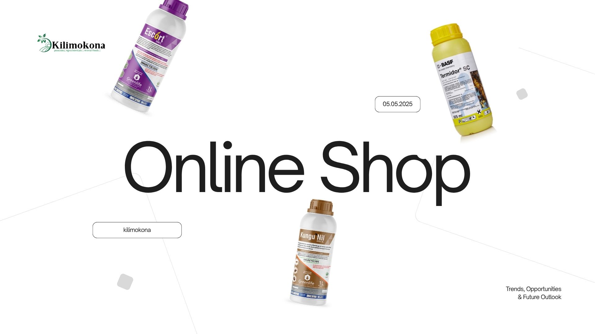 The Complete Guide to Bedbug Control in Kenya: Prevention, Treatment & Best Insecticides