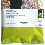 Red Coach F1 Hybrid Onion Seeds