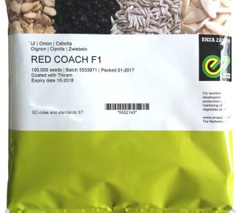 Red Coach F1 Hybrid Onion Seeds – High Yield Red Onion | 80-90 Days | Pink Rot Resistant