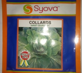 Mfalme F1 Hybrid Collard Seeds 50g | EA Seed | Bolt-Resistant, Long-Season Sukuma Wiki