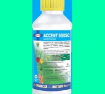 Accent 600 SC