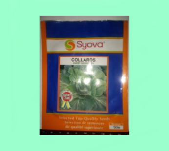 Collard – Mfalme F1 – 50 Grams