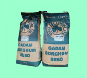 Gadam Sorghum – 2Kg