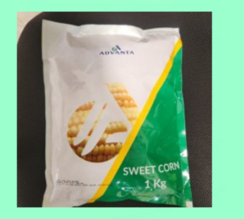 Golden Sweet Corn – 1Kg