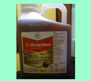 Guardian Max EC867