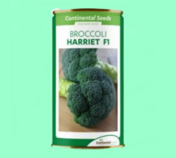 Hybrid Broccoli Rock F1