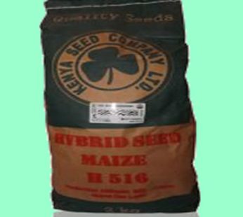 Maize – Highland Varieties