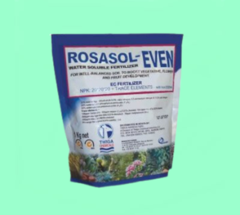 Rosasol-Even