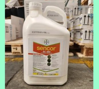 Sencor SC480