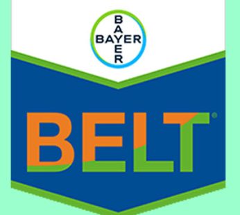 Belt SC 480