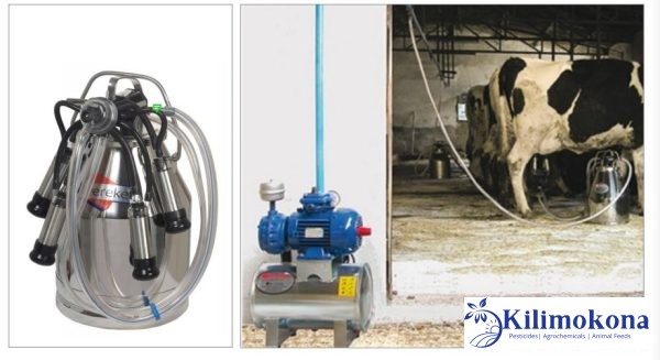 Milking Vacuum Unit 200-2 for Bucket Milking in Kenya